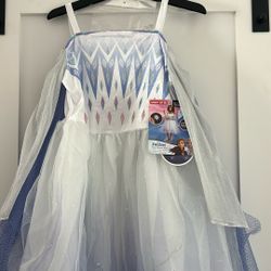 Disney Elsa Costume