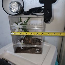 Terrarium