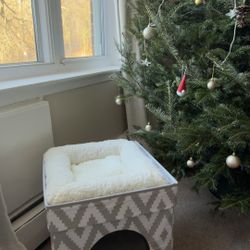 Large cat cube bed  19.55” height 16.5”width And Cat Cushion 