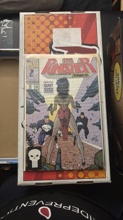 The Punisher 25