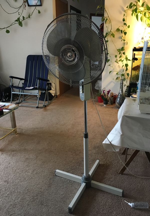 Oscillating fan in good condition!!! Name brand (windmere for Sale in