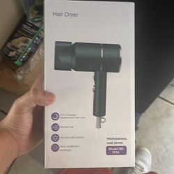 Hair dryer