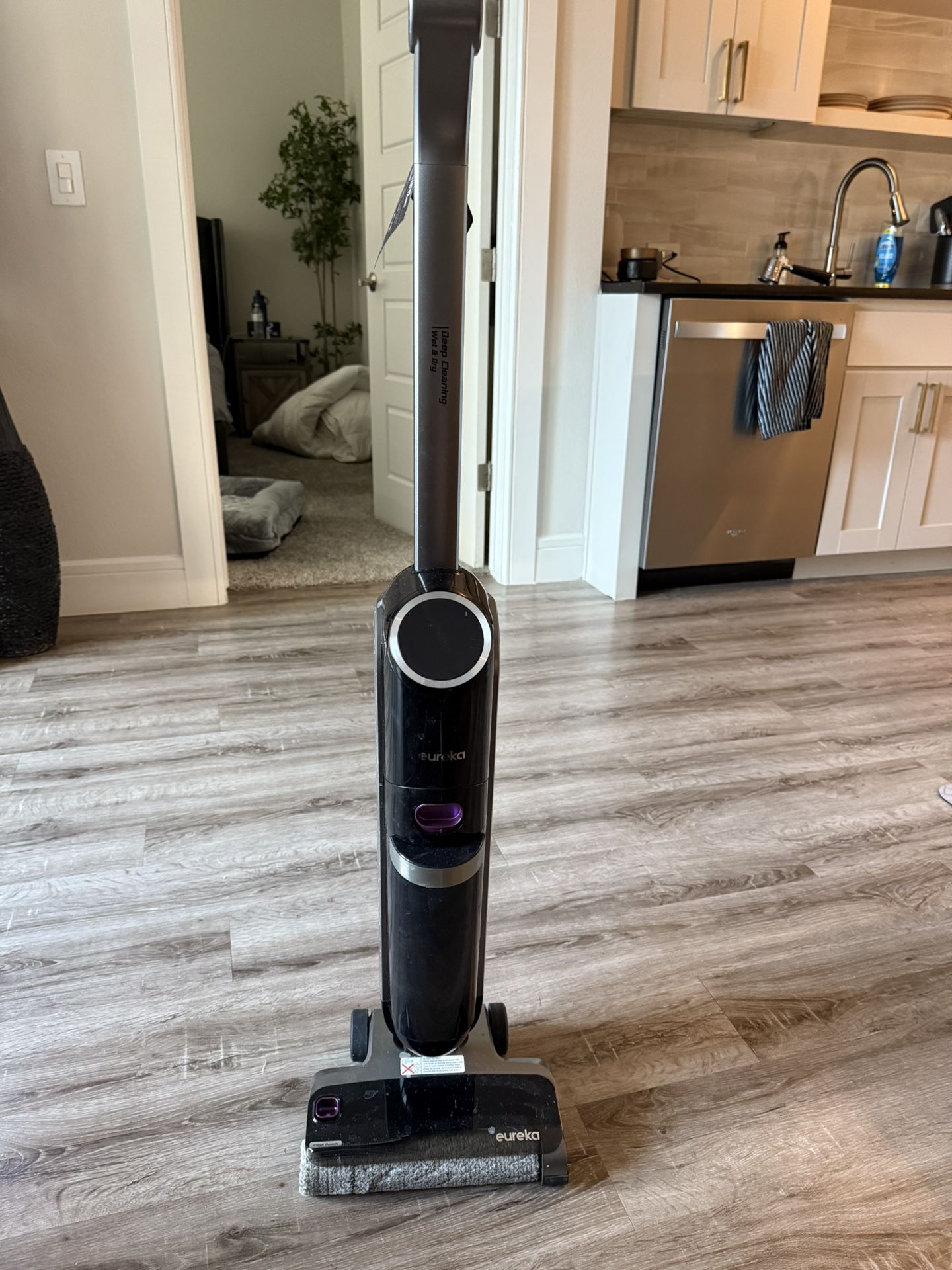 Eureka Wet / Dry Mop