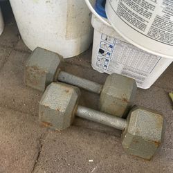 25lb Dumbbells