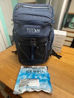 Backpack cooler and ice pack