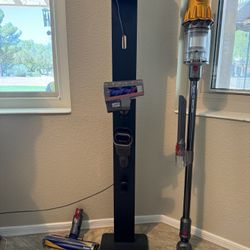 Dyson V12 Detect Slim Cordless Vacuum Cleaner