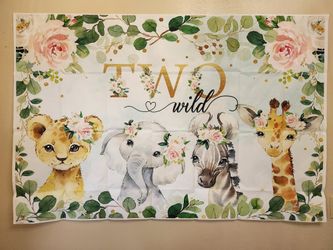 Two wild 2nd bday jungle theme $14