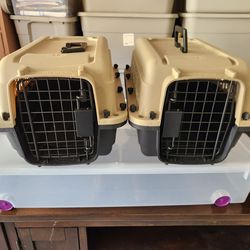 2 Cat or small dog carrier