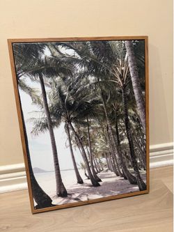 Tropical Palm Tree Canvas Print