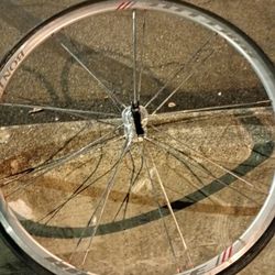 Bontrager Race Lite Rims W/ Vittoria Rubino Pro Tires