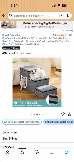 Dog stairs / storage