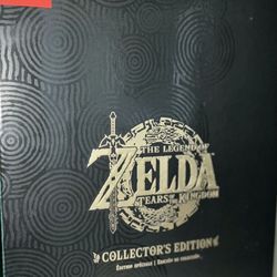 Zelda Tear Of The Kingdom 