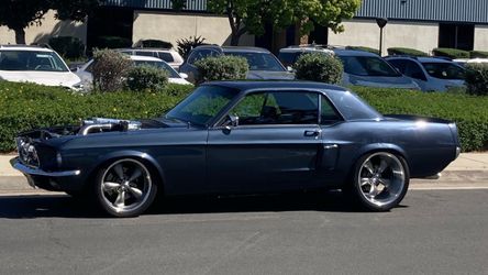 Coy Wheels for sale