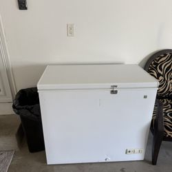 Freezer Chest 