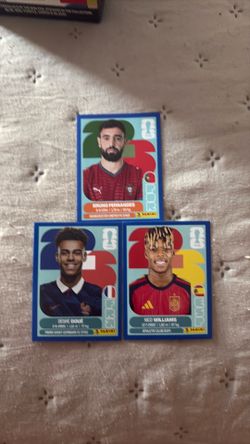 Panini Blue Stickers