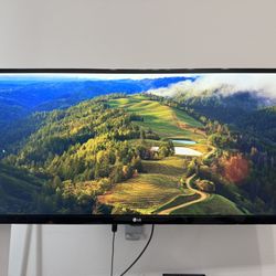 LG 34" UltraWide Monitor