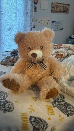 Teddy Bear Plushy