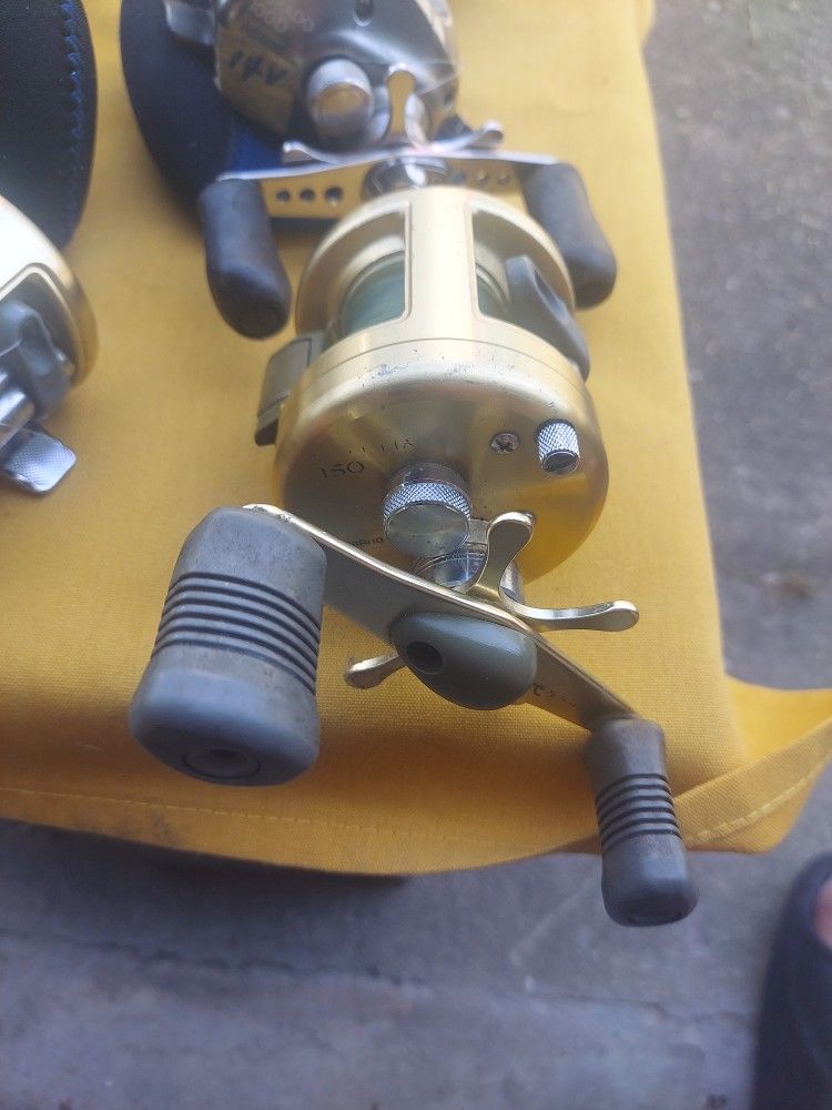 Shimano Calcutta 150 Reel