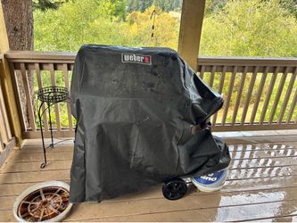 Weber gas grill
