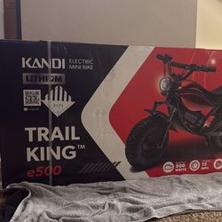 Trail King E-bike 