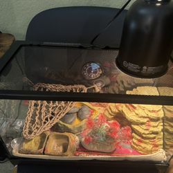 Tank For Reptiles 