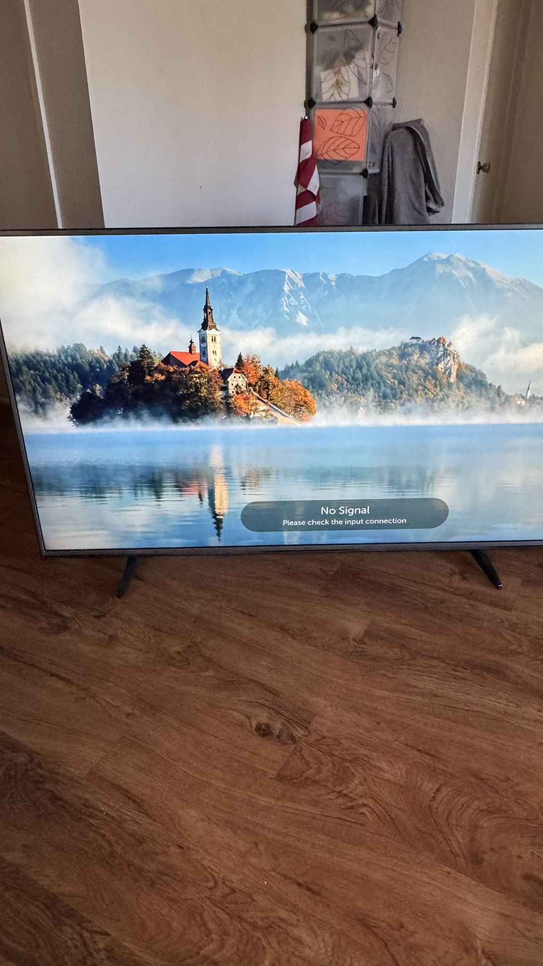 LG/ 65 inch