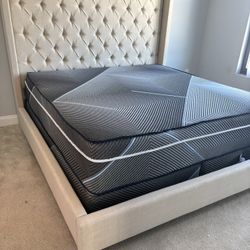 New In Box Almost 6 Ft Tall Queen Bed Frames 7 Colors