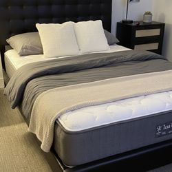 Modern Tufted Queen Platform Bed Frame