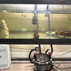 125 Fish Aquarium And Stand 