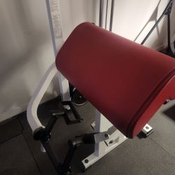 Paramount Pin Select Preacher Curl