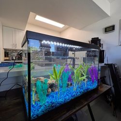 Fish Tank & Decor 