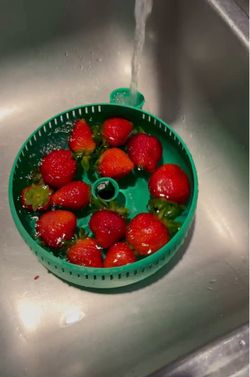 Vegetable and berry washer