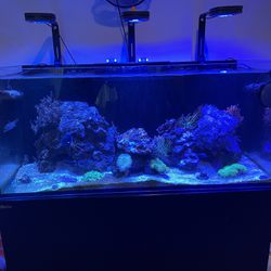 Redsea Reefer G2 350 (72 Gallons)