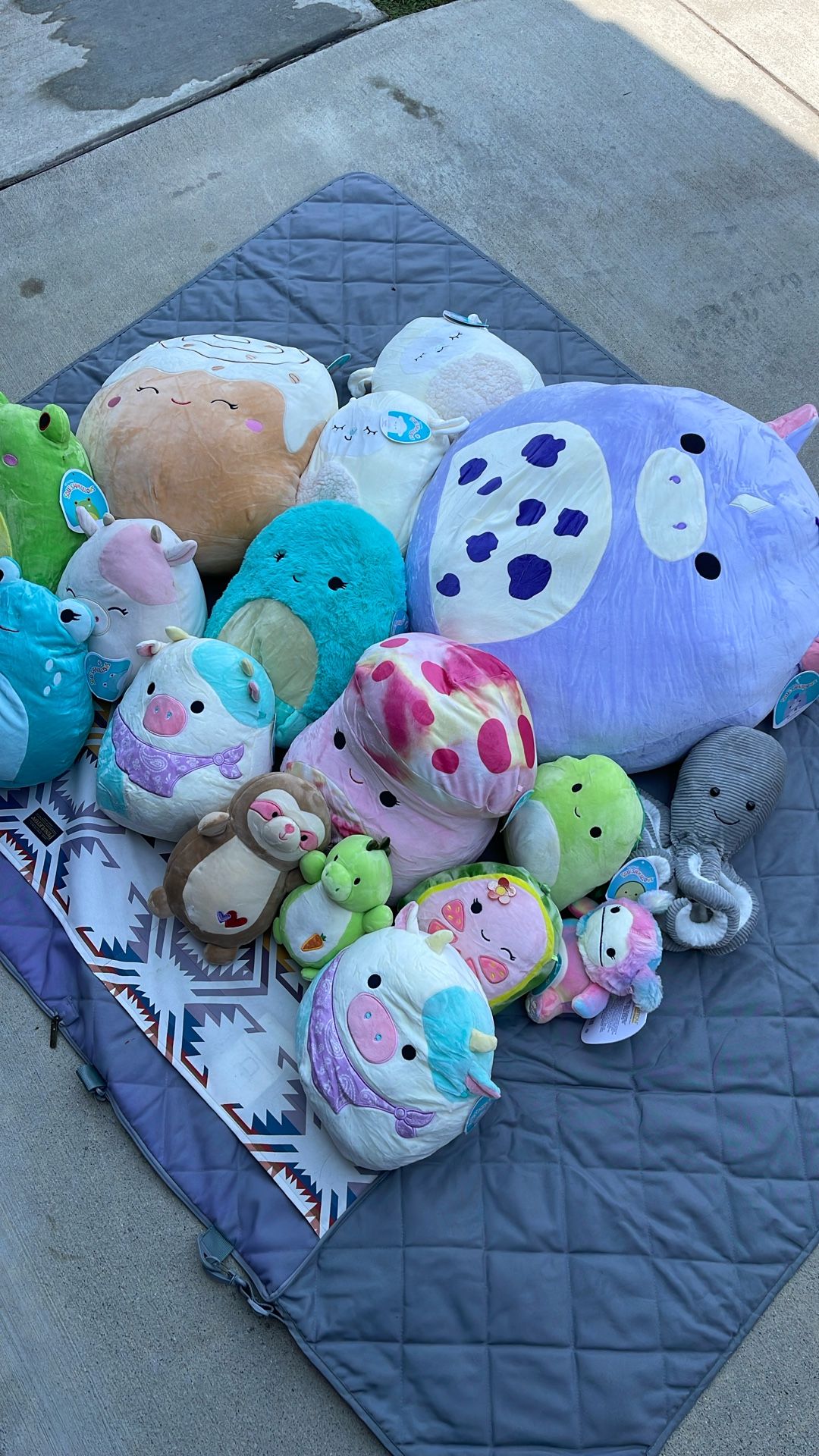 Bag Full Of Squishmallows