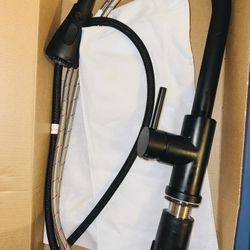 Glacier Bay Black Kitchen Faucet