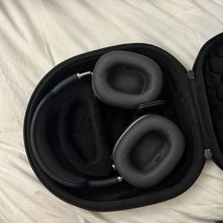 Apple AirPod Pro Max 