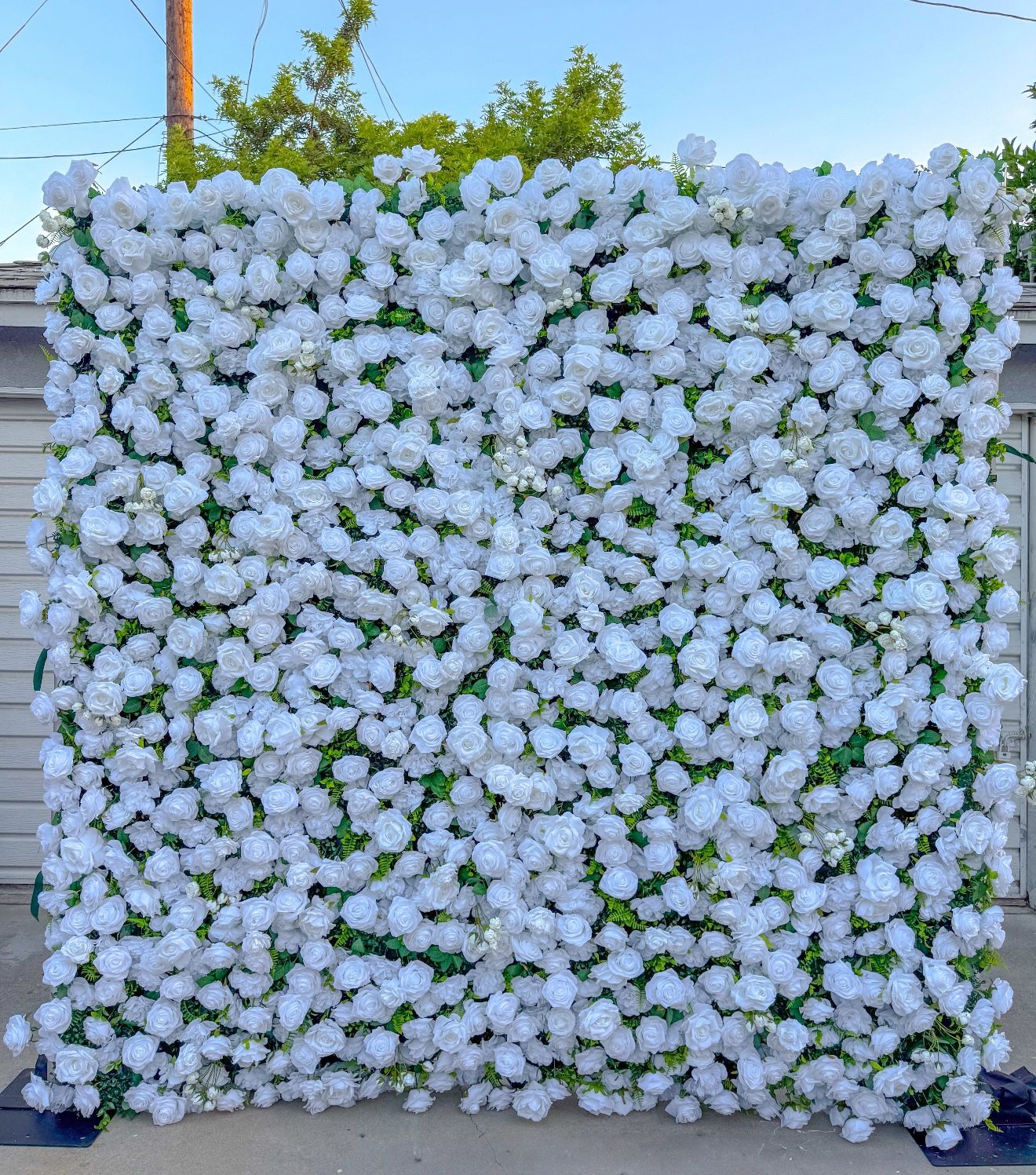 White Flower Wall