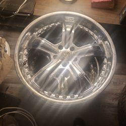 Shelby Rims 