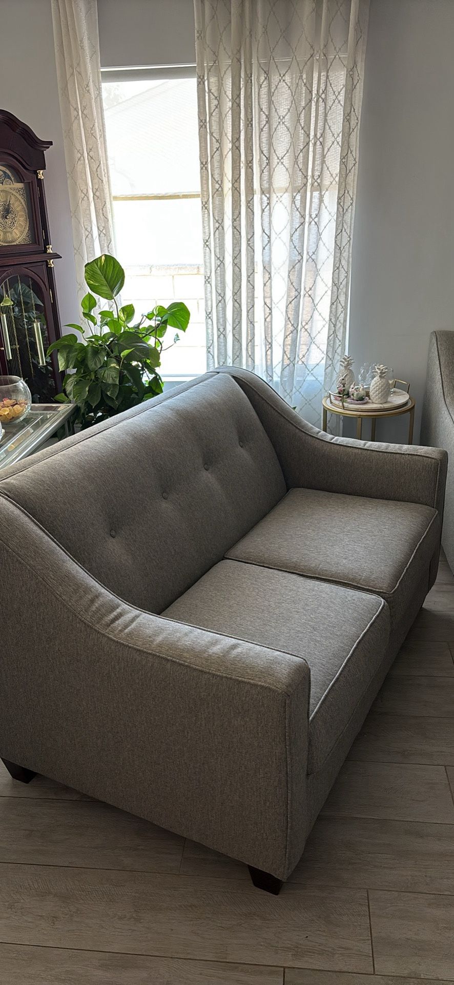 Two Grey Couches
