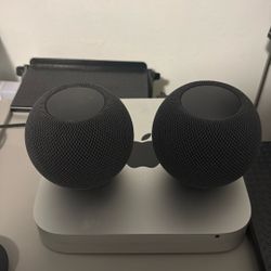 Apple Home Pods Mini Set 