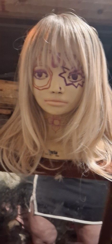 Wigs, Hair Extensions 