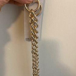 Dog Collar.  Gold Plated