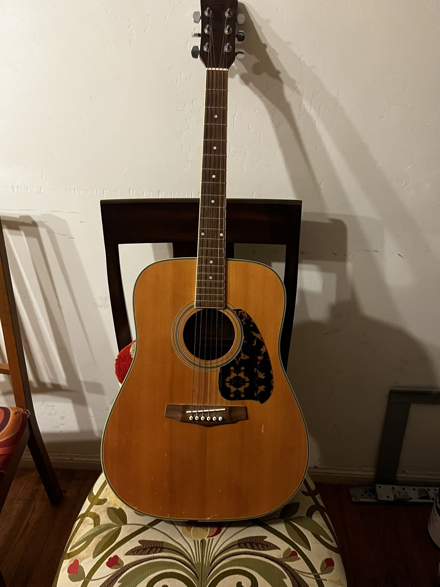 Acoustic Ibanez Performance Guitar 