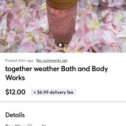 Bath And Bodyworks Mist 