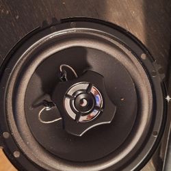 65 Watt Car Speaker