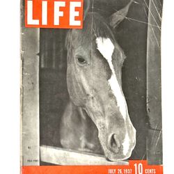 July 26, 1937 issue of Life magazine, featuring a close-up photograph of a polo pony on the cover. The cover photo was taken by photographer Alfred Ei