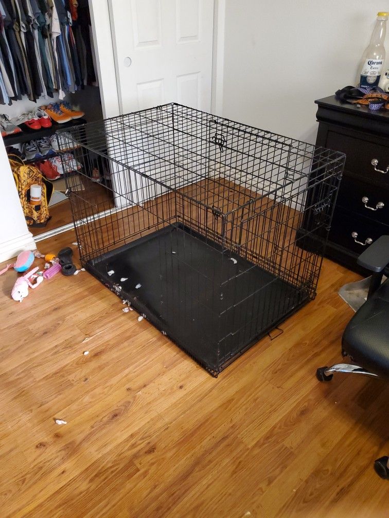 Dog Kennel