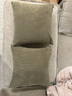 Two Throw Pillows 