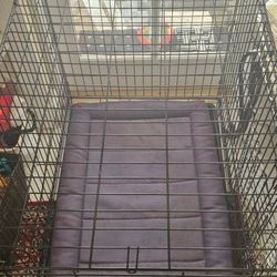 Heavy-Duty Dog Crate - Like New