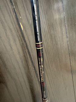 Daiwa fishing rod